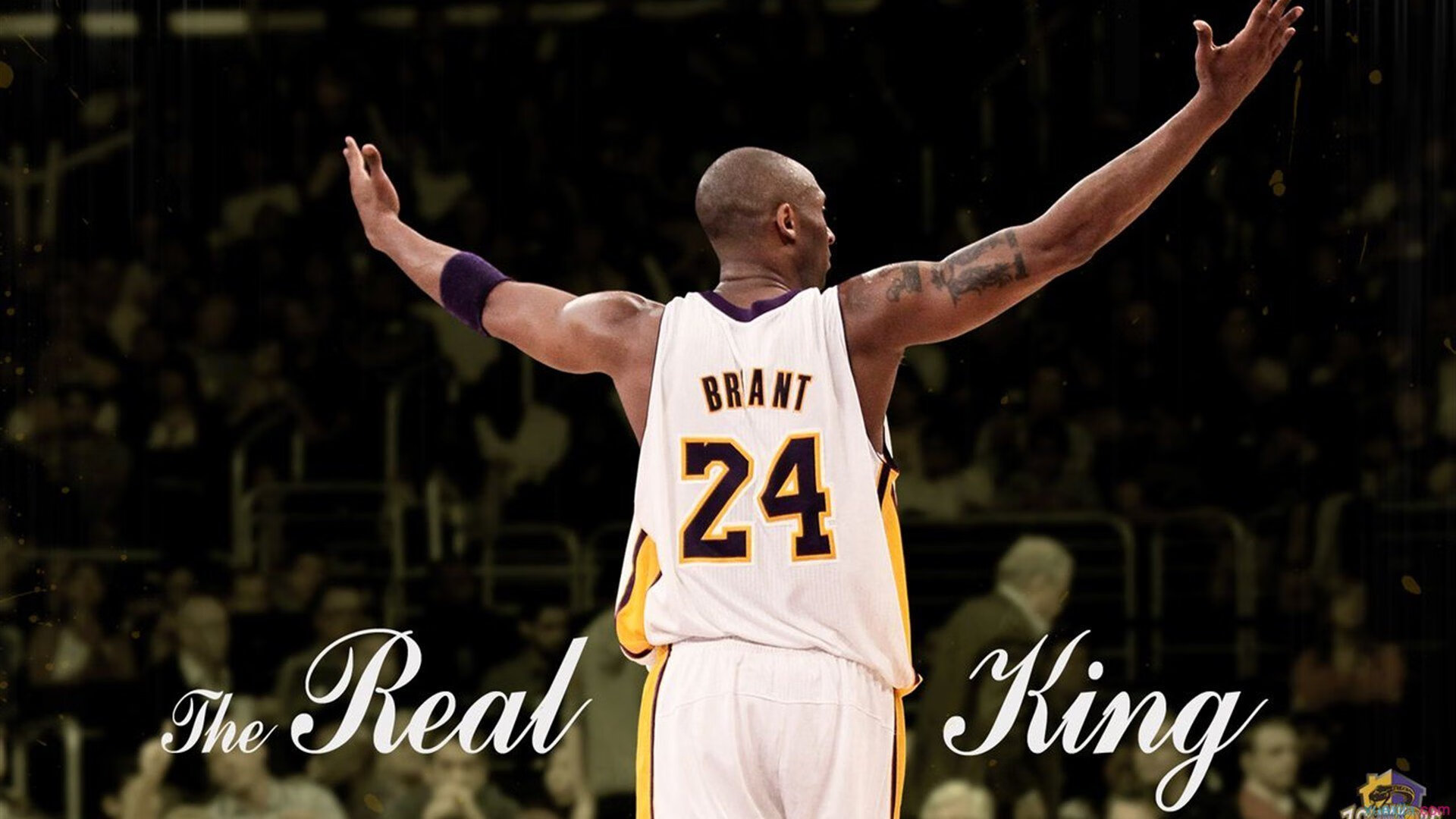 九游官网pc-青少年篮球赛事正在成为培养团队合作精神的最佳载体，青少年篮球活动策划方案